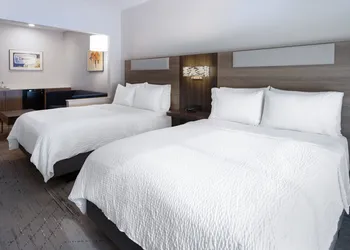 Holiday Inn Express and Suites Vineland Millville by IHG hotel thumbnail 8