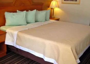 Americas Best Value Inn DeRidder hotel thumbnail 3