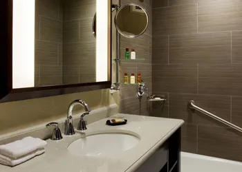 Sheraton Brooklyn New York Hotel hotel thumbnail 7