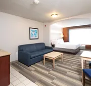 Holiday Inn Express Hotel & Suites Grand Blanc by IHG hotel detail image 5