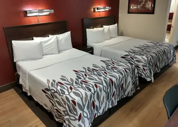 Red Roof Inn Santa Ana hotel thumbnail 7