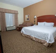 Hampton Inn Oneonta hotel detail image 4