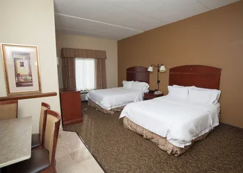 Hampton Inn Oneonta hotel thumbnail 6