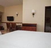 Hampton Inn Oneonta hotel detail image 7