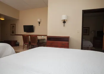 Hampton Inn Oneonta hotel thumbnail 7