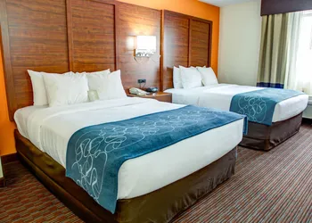 Comfort Suites Stevensville - St. Joseph hotel thumbnail 4