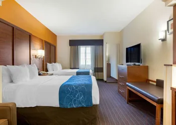 Comfort Suites Stevensville - St. Joseph hotel thumbnail 6
