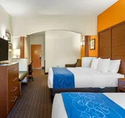 Comfort Suites Stevensville - St. Joseph hotel detail image 7