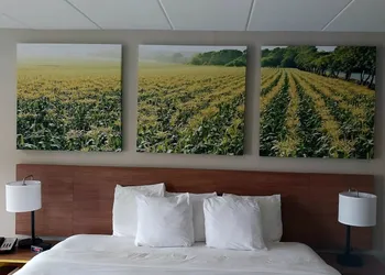 Days Inn by Wyndham Vineland hotel thumbnail 3