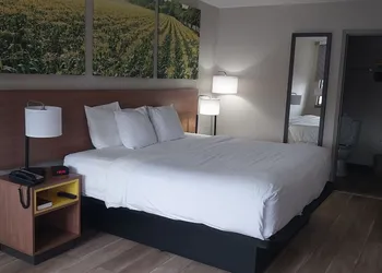 Days Inn by Wyndham Vineland hotel thumbnail 4