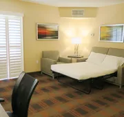 Holiday Inn Express & Suites Elk Grove Central - Hwy 99 by IHG hotel detail image 4