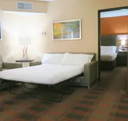 Holiday Inn Express & Suites Elk Grove Central - Hwy 99 by IHG hotel detail image 5
