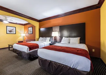 Comfort Suites Lake Jackson Clute hotel thumbnail 5