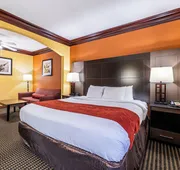 Comfort Suites Lake Jackson Clute hotel detail image 7