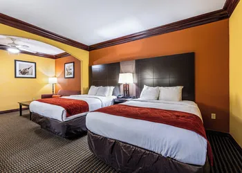 Comfort Suites Lake Jackson Clute hotel thumbnail 5