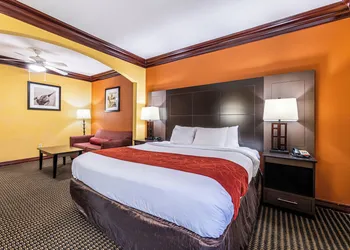 Comfort Suites Lake Jackson Clute hotel thumbnail 7