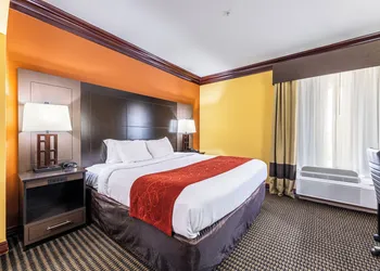 Comfort Suites Lake Jackson Clute hotel thumbnail 8