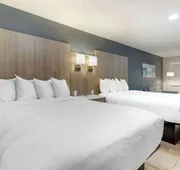 Best Western Plus Edinburg Inn & Suites hotel detail image 5