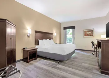 Best Western Plus Greenville South hotel thumbnail 8