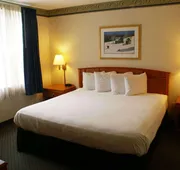 Country Inn & Suites by Radisson, Lansing, MI hotel detail image 7