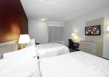 Red Roof Inn PLUS+ Gainesville hotel thumbnail 8