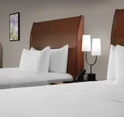 Hilton Garden Inn Hoffman Estates hotel detail image 7