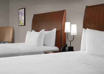 Hilton Garden Inn Hoffman Estates hotel thumbnail 7