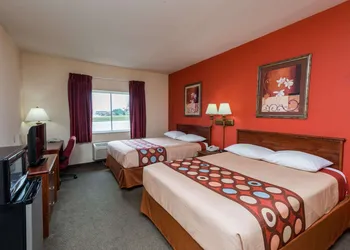 Super 8 by Wyndham St Robert Ft Leonard Wood Area hotel thumbnail 4