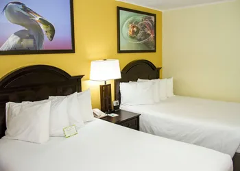 Wyndham Garden Fort Walton Beach Destin hotel thumbnail 5