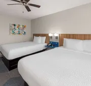 Microtel Inn & Suites by Wyndham Buda Austin South hotel detail image 4