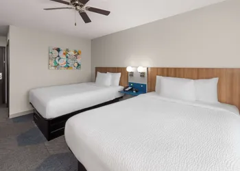 Microtel Inn & Suites by Wyndham Buda Austin South hotel thumbnail 4