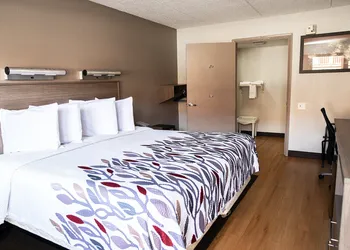Red Roof Inn Rochester - Henrietta hotel thumbnail 3