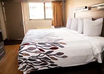 Red Roof Inn Rochester - Henrietta hotel thumbnail 6