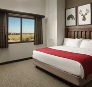 Great Wolf Lodge Grapevine hotel detail image 7