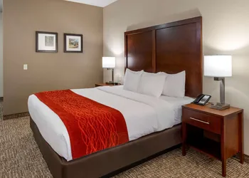 Comfort Inn & Suites Canton Riverstone Area hotel thumbnail 2