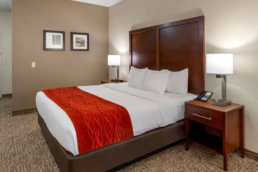 Comfort Inn & Suites Canton Riverstone Area hotel detail image 2
