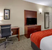 Comfort Inn & Suites Canton Riverstone Area hotel detail image 3