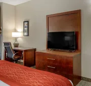 Comfort Inn & Suites Canton Riverstone Area hotel detail image 4