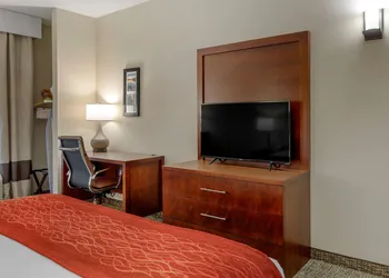 Comfort Inn & Suites Canton Riverstone Area hotel thumbnail 4