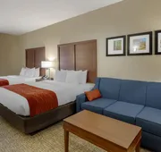 Comfort Inn & Suites Canton Riverstone Area hotel detail image 7