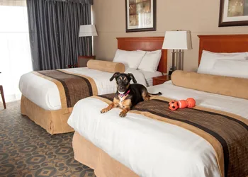 Best Western Brantford Hotel & Conference Centre hotel thumbnail 6