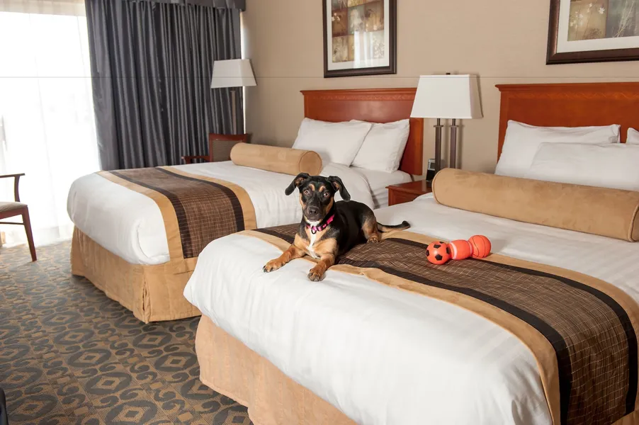 Best Western Brantford Hotel & Conference Centre hotel detail image 6