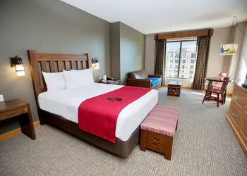 Great Wolf Lodge Bloomington hotel thumbnail 7