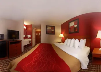 Quality Inn hotel thumbnail 8