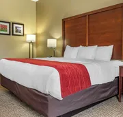 Comfort Inn & Suites Mocksville I-40 hotel detail image 5