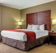 Comfort Inn & Suites Mocksville I-40 hotel detail image 7