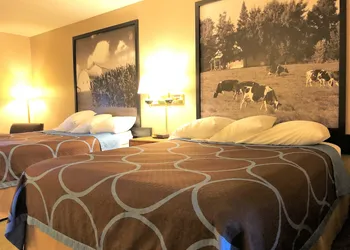 Super 8 by Wyndham Dodgeville hotel thumbnail 8