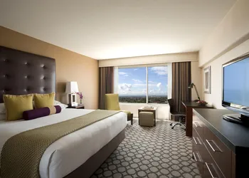 Hyatt Regency Orange County hotel thumbnail 6