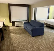 Holiday Inn Express & Suites Longview North by IHG hotel detail image 7