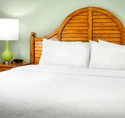 Hampton Inn & Suites Savannah/Midtown hotel detail image 4